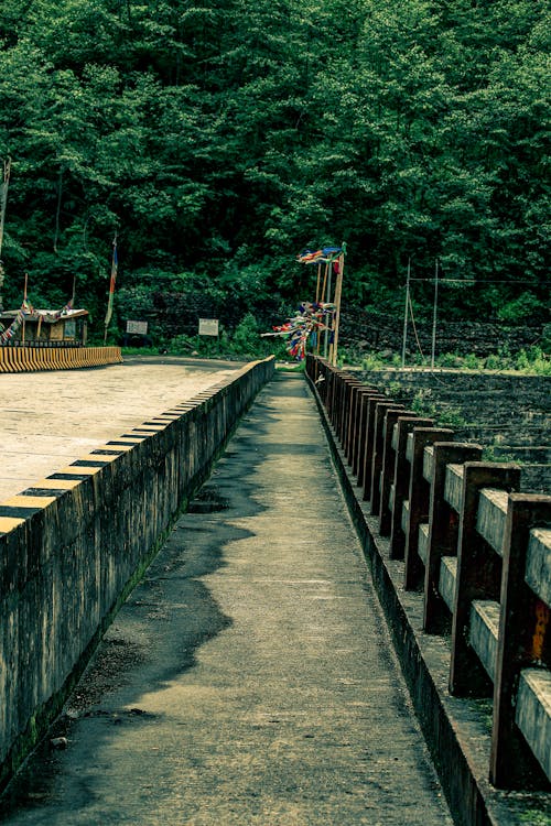 Foto d'estoc gratuïta de pont, sikkim, verd