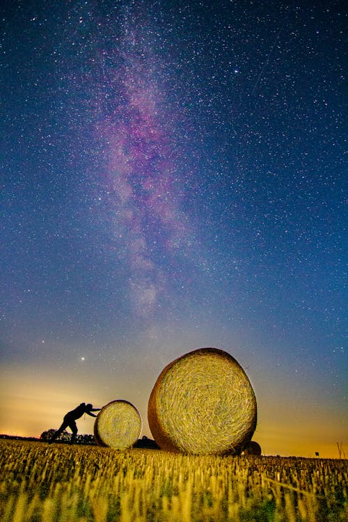 Free stock photo of cereals, field, milky way
