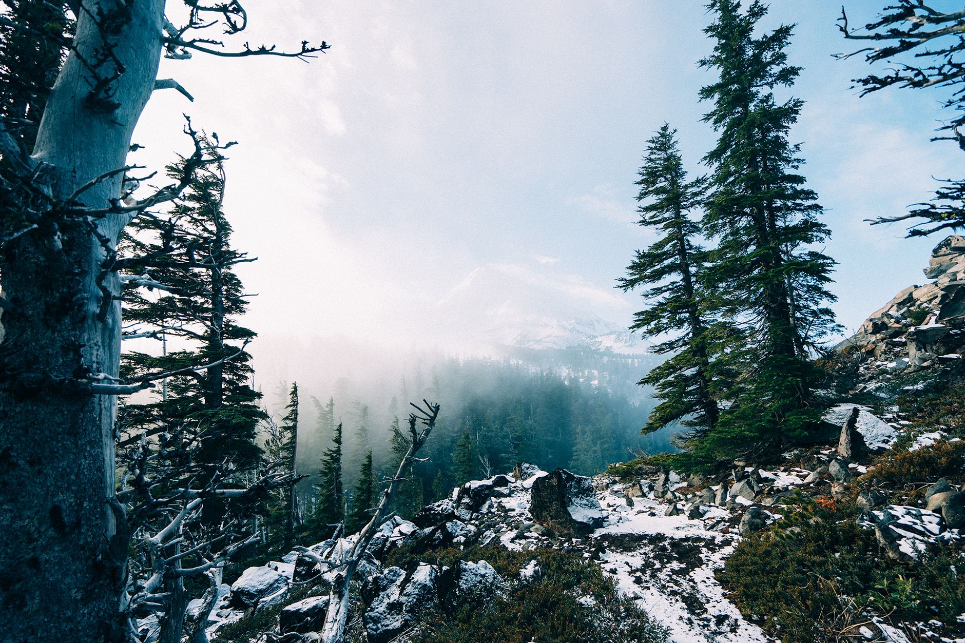 A tranquil winter scene with snow-covered trees and mist in a mountainous forest.