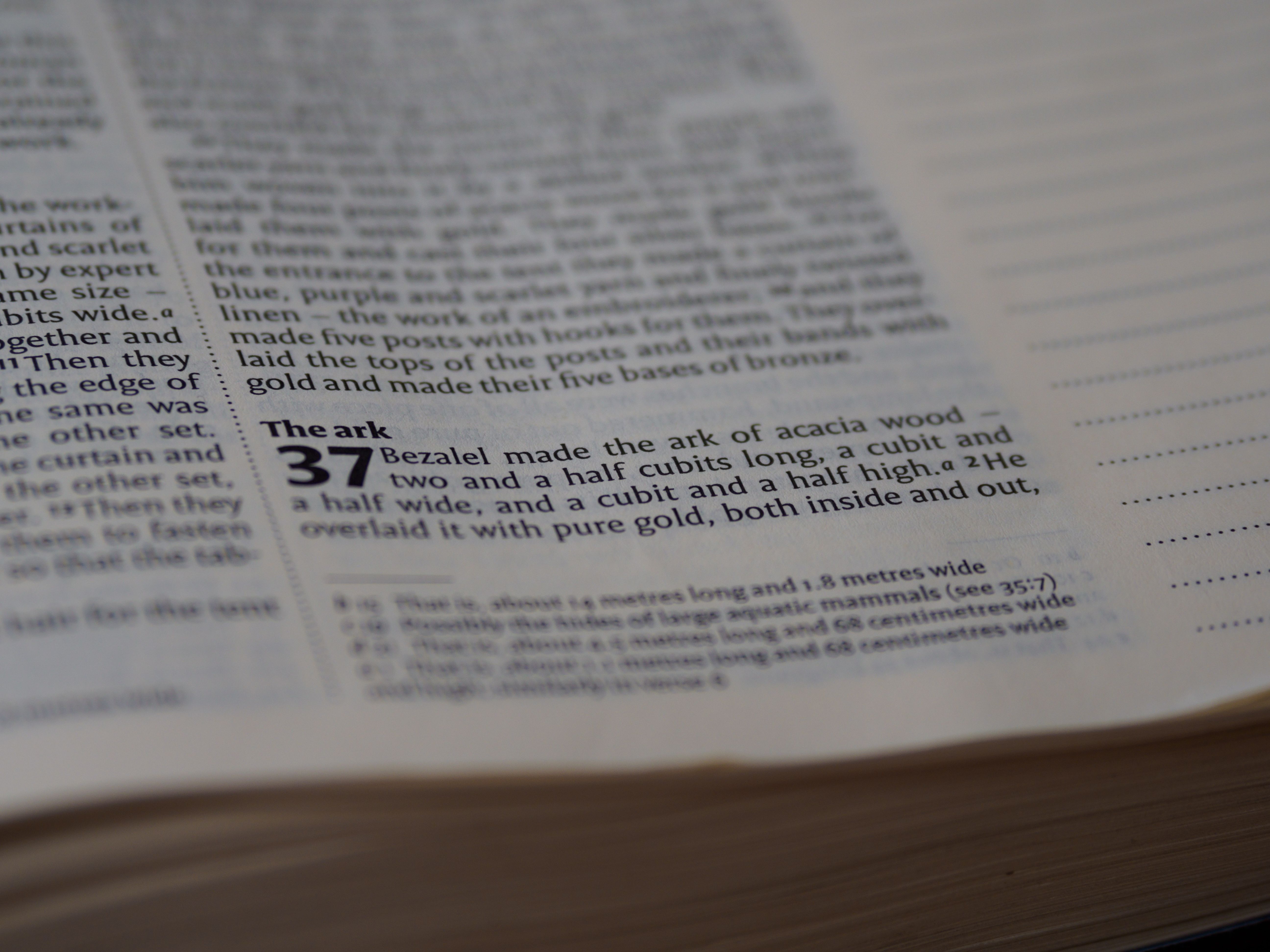 Old Testament Photos, Download The BEST Free Old Testament Stock Photos ...