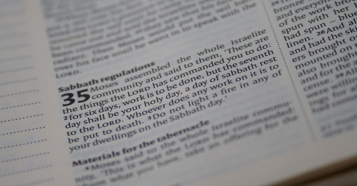 Scripture Pages Photo Close-up Photo of a Bible Page · Free Stock Photo