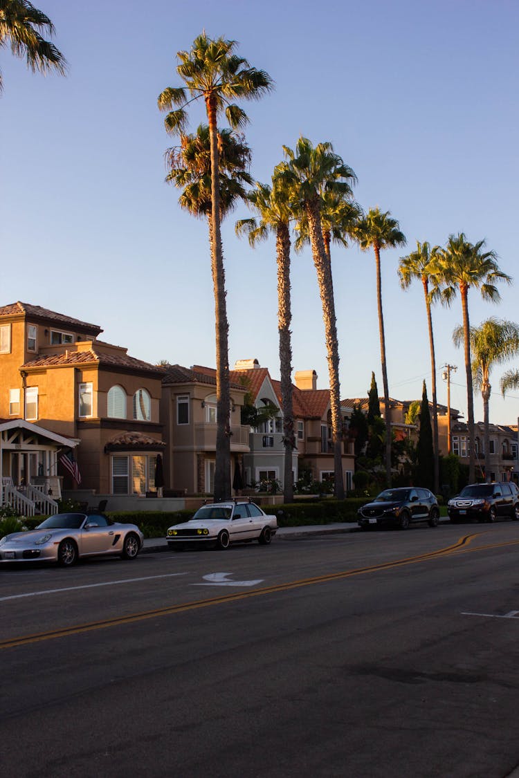 View Of Town Street In Subtropical Country