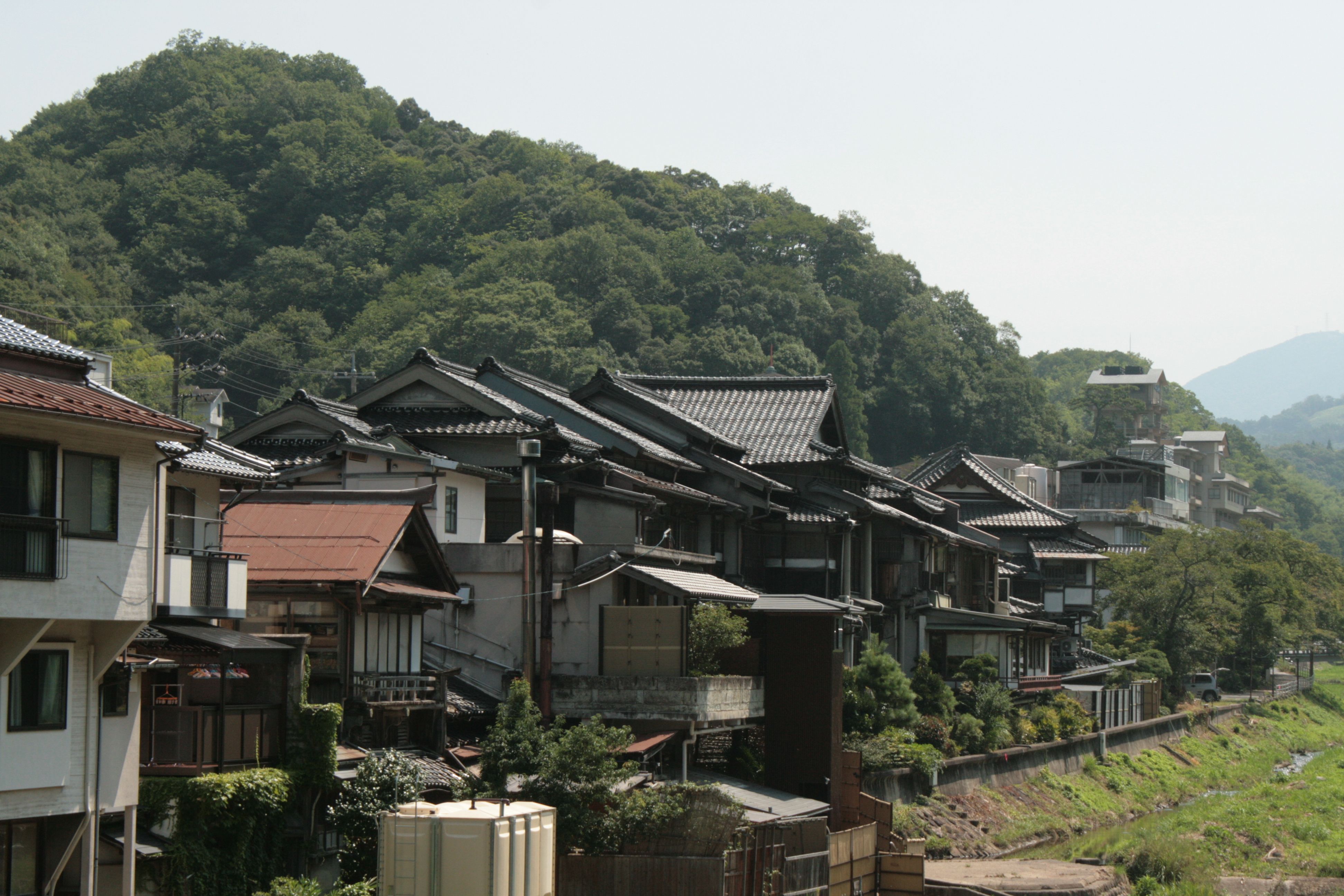 在郁郁葱葱的绿色景观中，坐落着传统的日本房屋，夏日里更显韵味