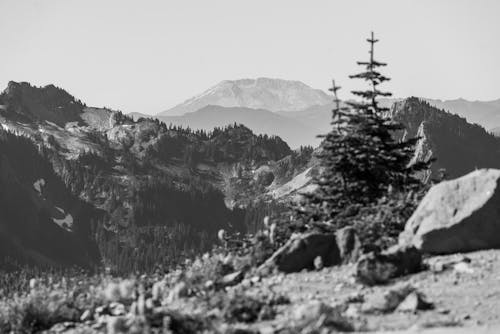 Photos gratuites de colline, mont rainier, mont saint helens