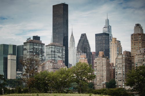 Modern skyscraper facades near trees in city