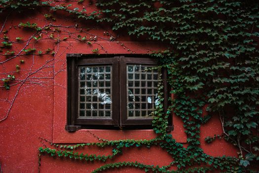 Exterior of aged wall of red house with closed wooden window and green plants