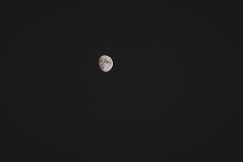 달 배경, 밤하늘, 보름달의 무료 스톡 사진