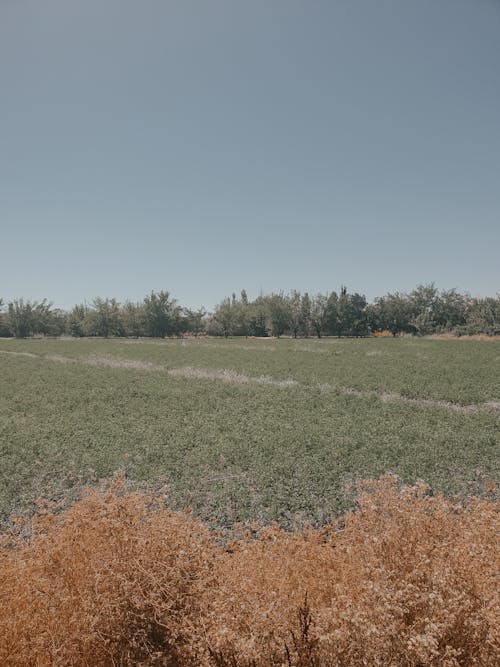 Darmowe zdjęcie z galerii z pionowy strzał, pole, pole uprawne