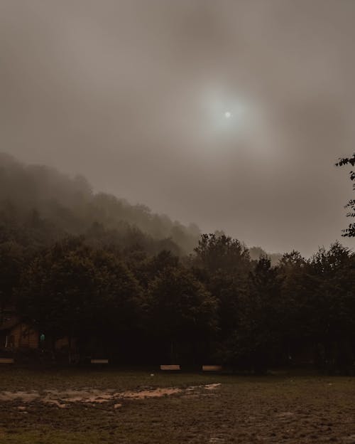 Sun Setting over Trees in Dark Nature Landscape