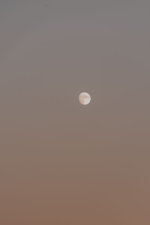 Free A tranquil full moon against a gradient evening sky, creating a calm and soothing atmosphere. Stock Photo