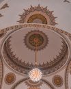Gold and White Floral Ceiling