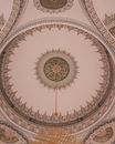 Gold and White Floral Ceiling
