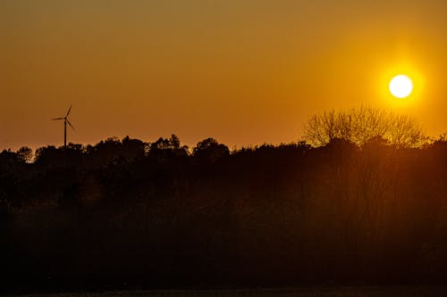 Free stock photo of evening sun, sun, sunset