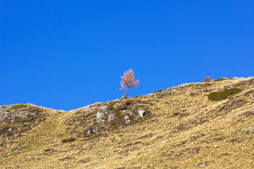 Free stock photo of alps, blue sky, hiking