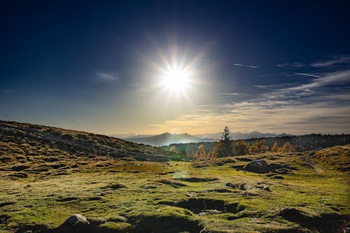 Free stock photo of alps, blue sky, forest