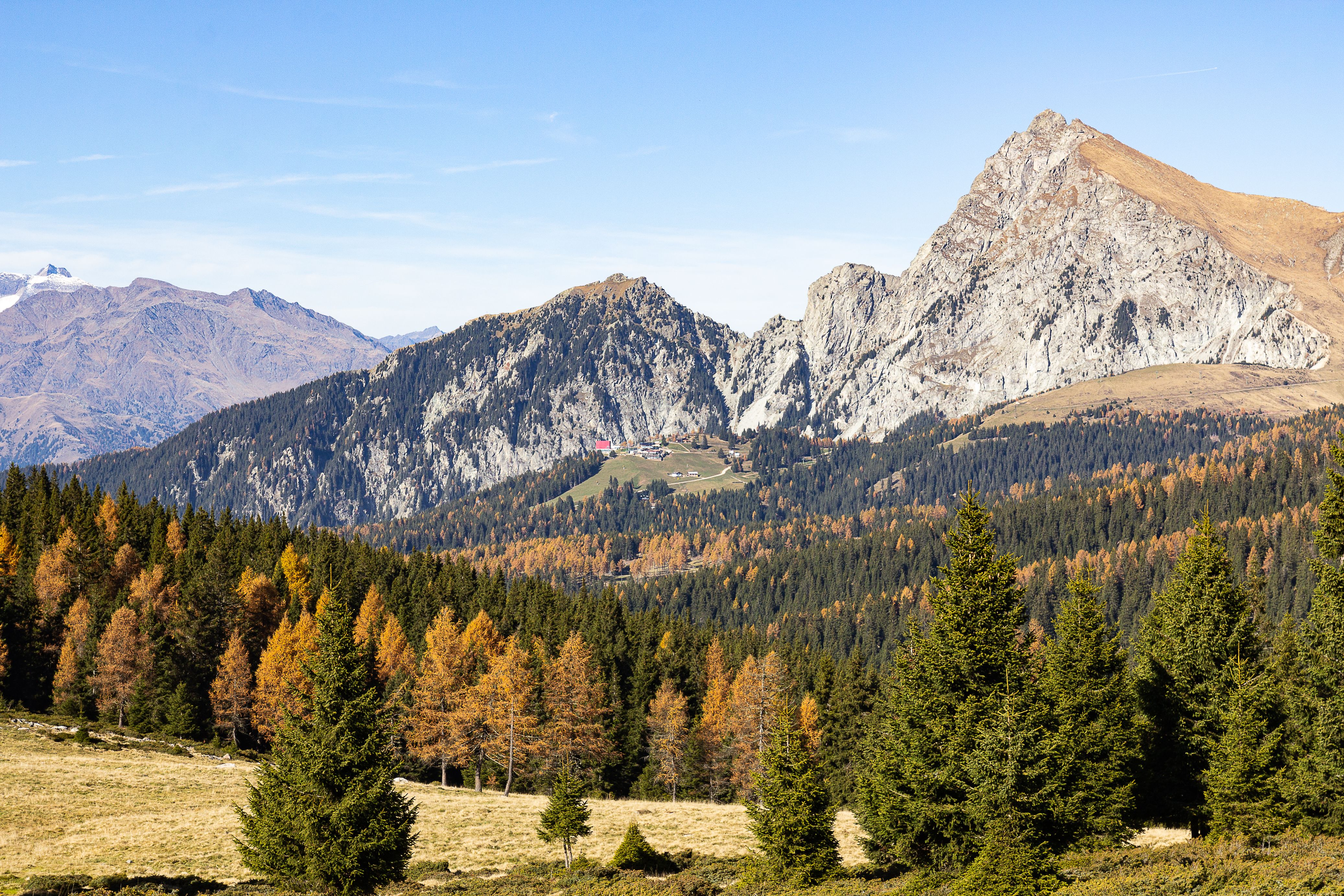 Green Pine Trees Near Mountain Under Blue Sky · Free Stock Photo