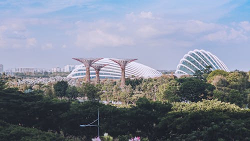 Free Flower Dome in Singapore Stock Photo