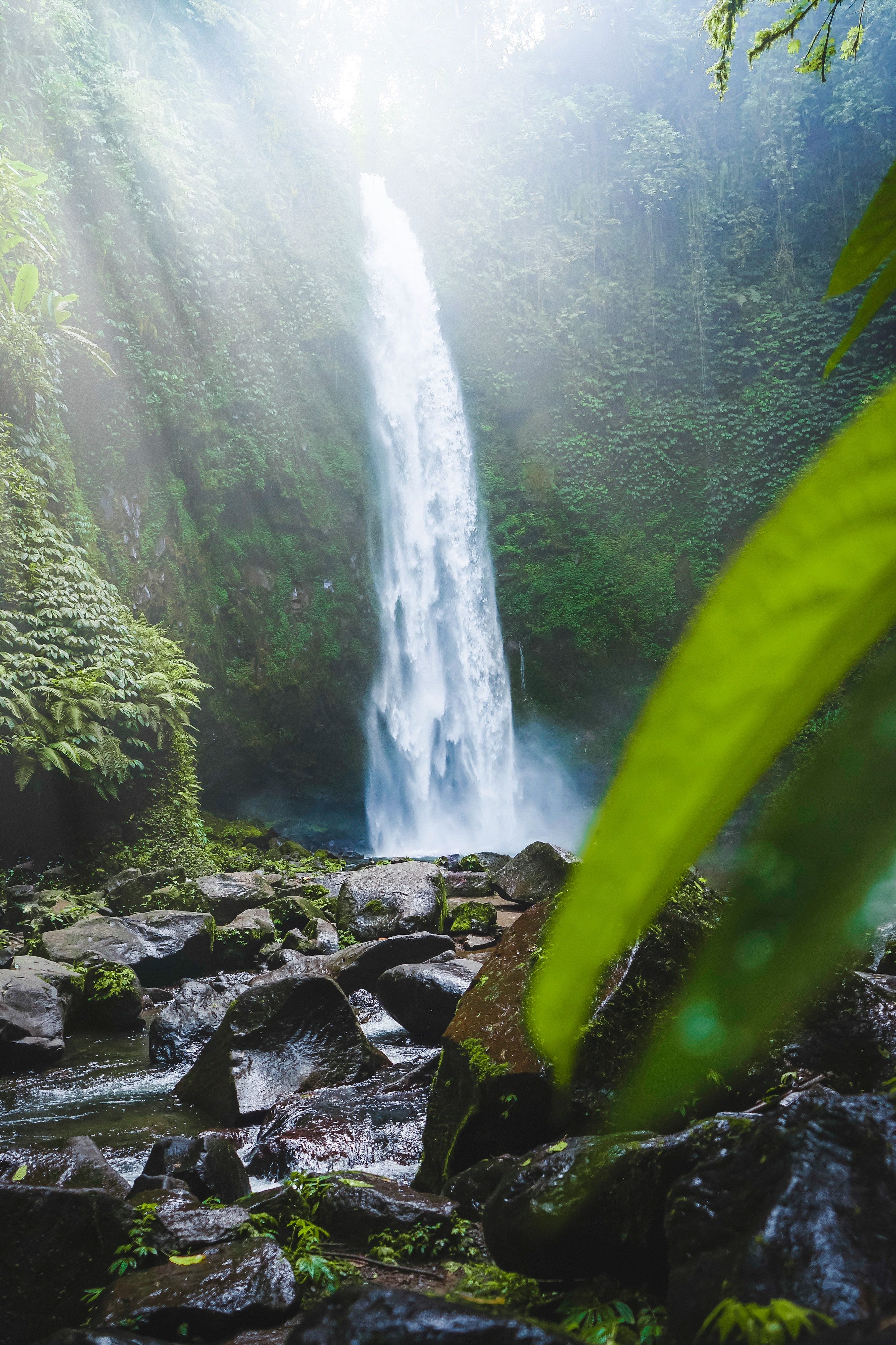 Picturesque tropical waterfall in middl…