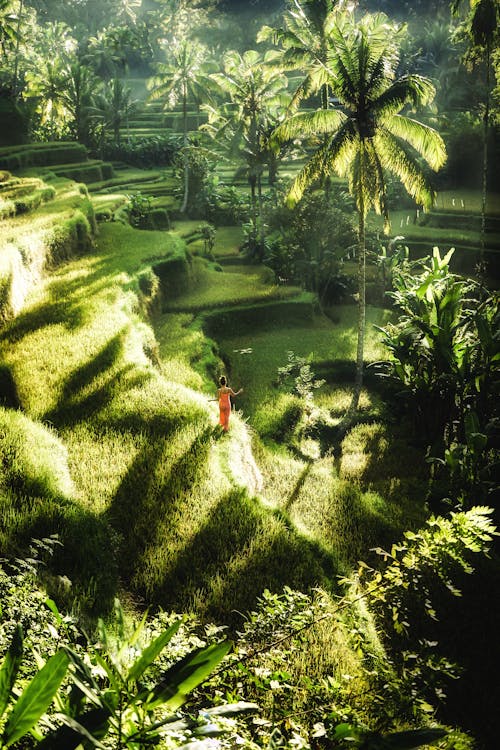 Drone view of distant female in maxi dress standing on lush verdant meadow in magnificent exotic highlands in sunlight