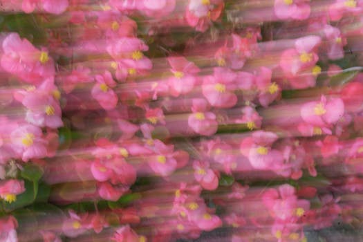 A captivating abstract image of vibrant pink flowers in motion, creating a dreamy effect.