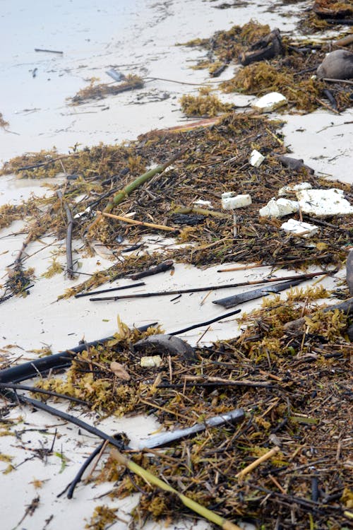 Free stock photo of beach, beach waste, boracay