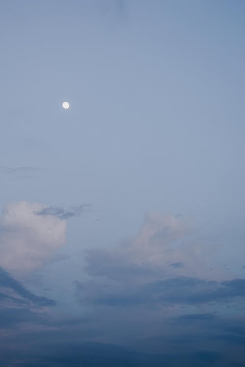 Gratis lagerfoto af aften-himlen, blå himmel, lodret skud