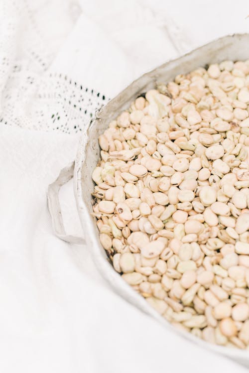 White Beans on a Stainless Bowl