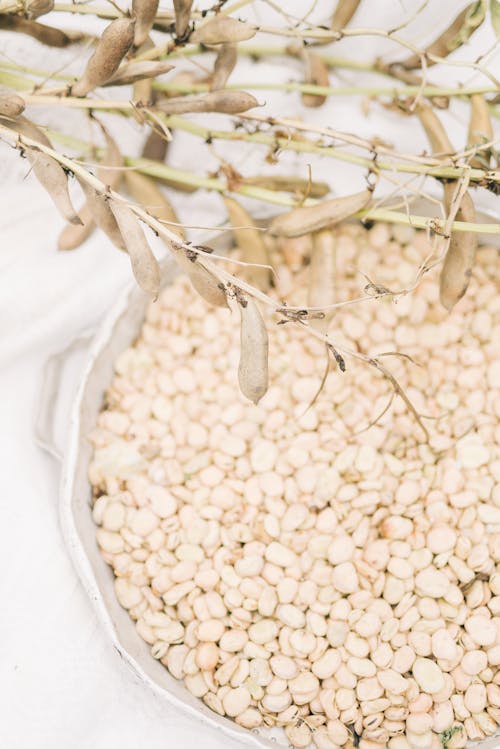 Leaves over White Beans on Plate