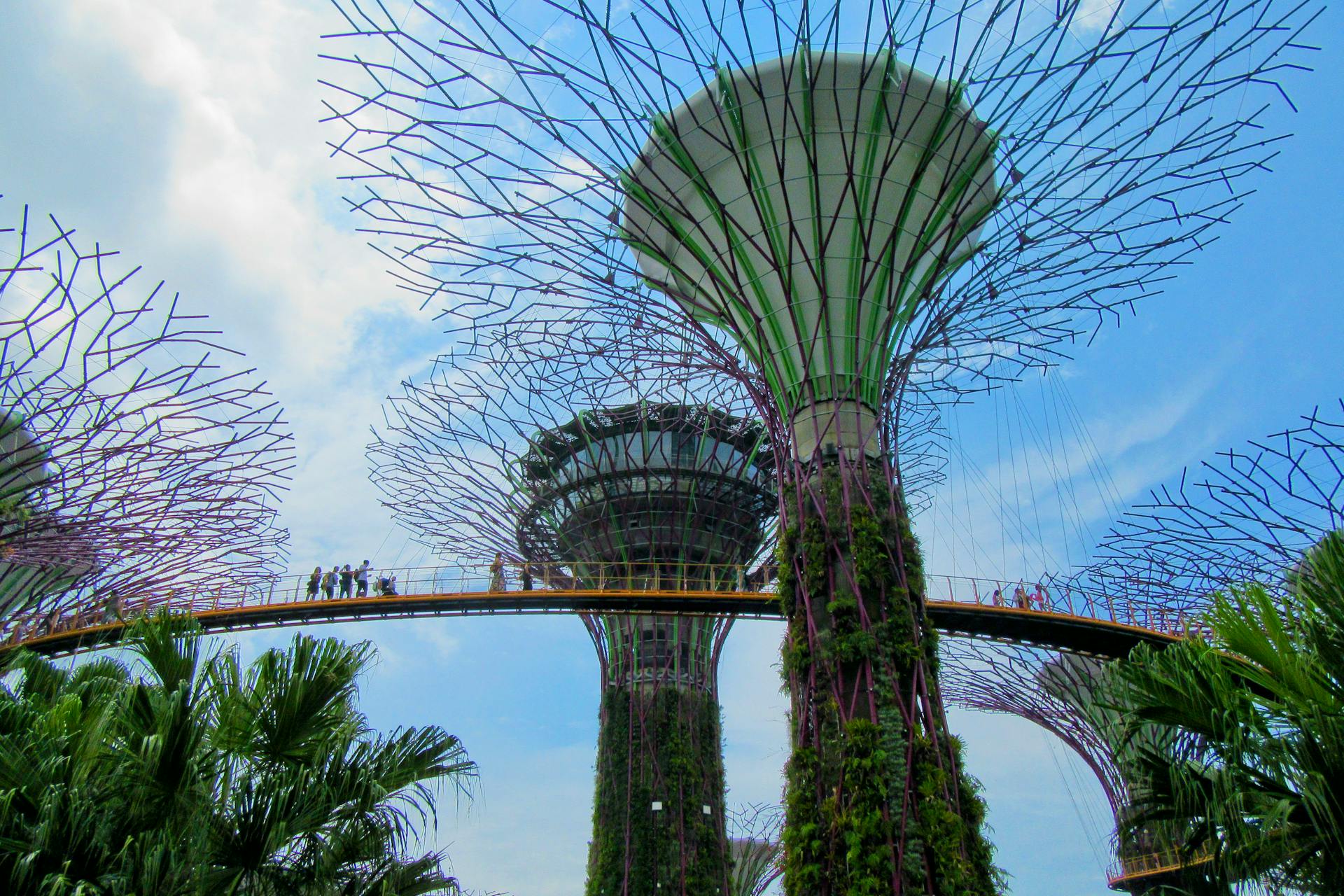 OCBC Skyway in Singapore