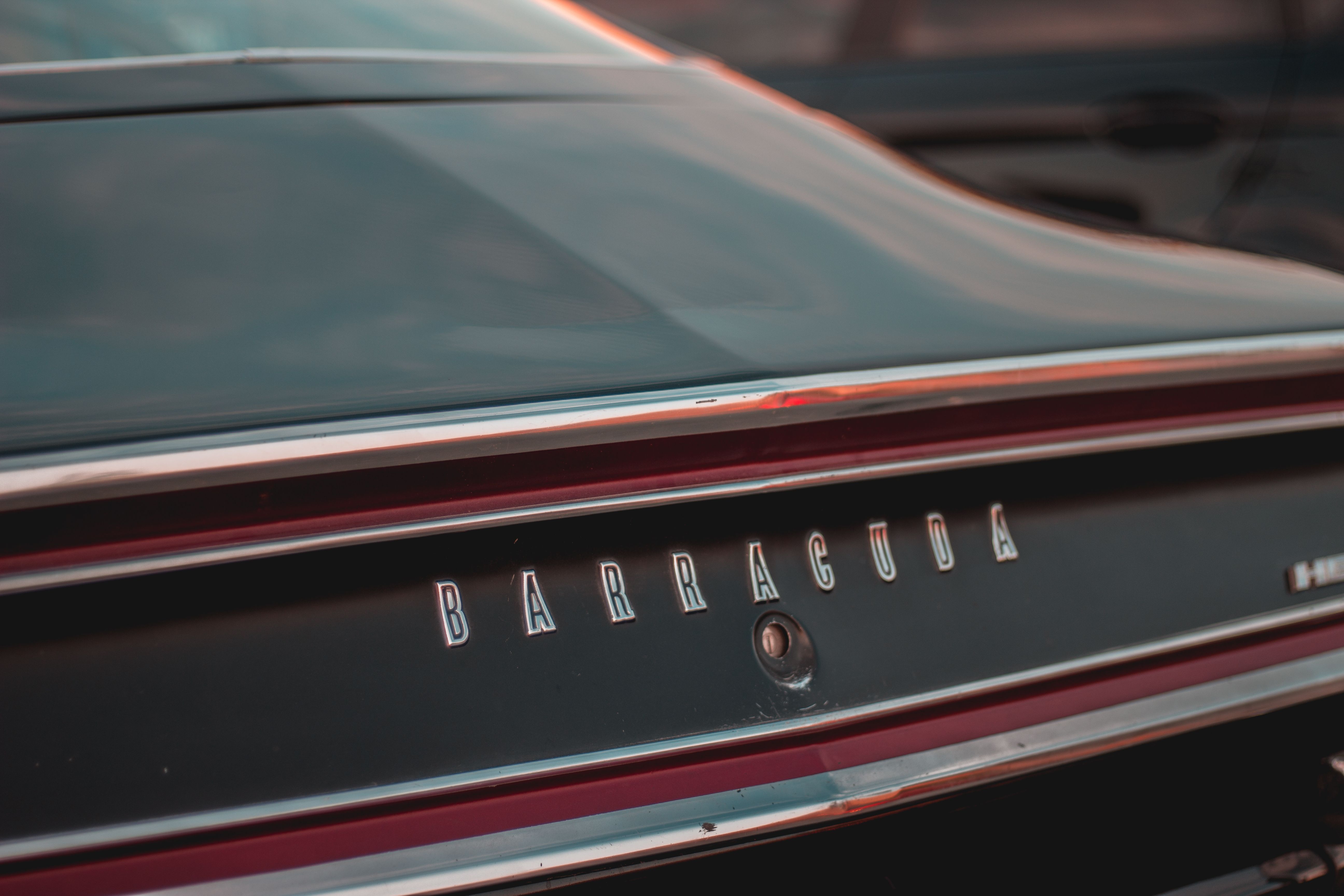Details of trunk of retro pony car parked on street on sunny day