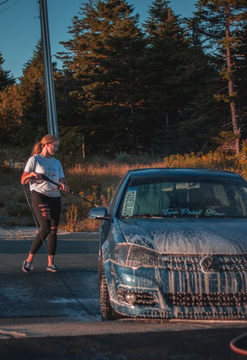 Free Focused young slender female worker washing automobile parked on pavement next to lush dark green woodland under blue cloudless sky in evening Stock Photo