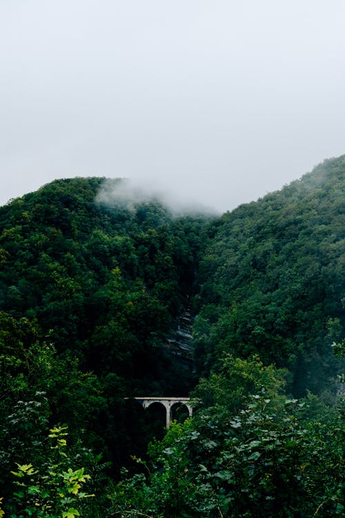 Picturesque scenery of abundant forested hills and white arched bridge on misty summer weather