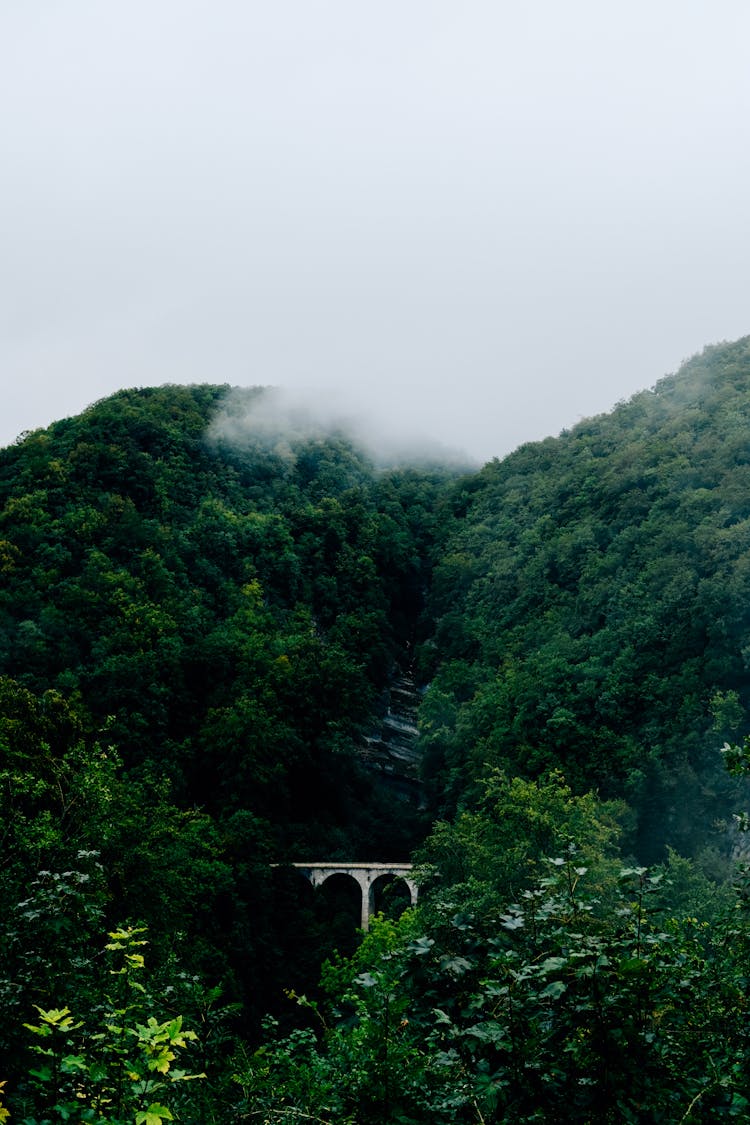 Amazing Forested Hills With Arched Bridge On Misty Day