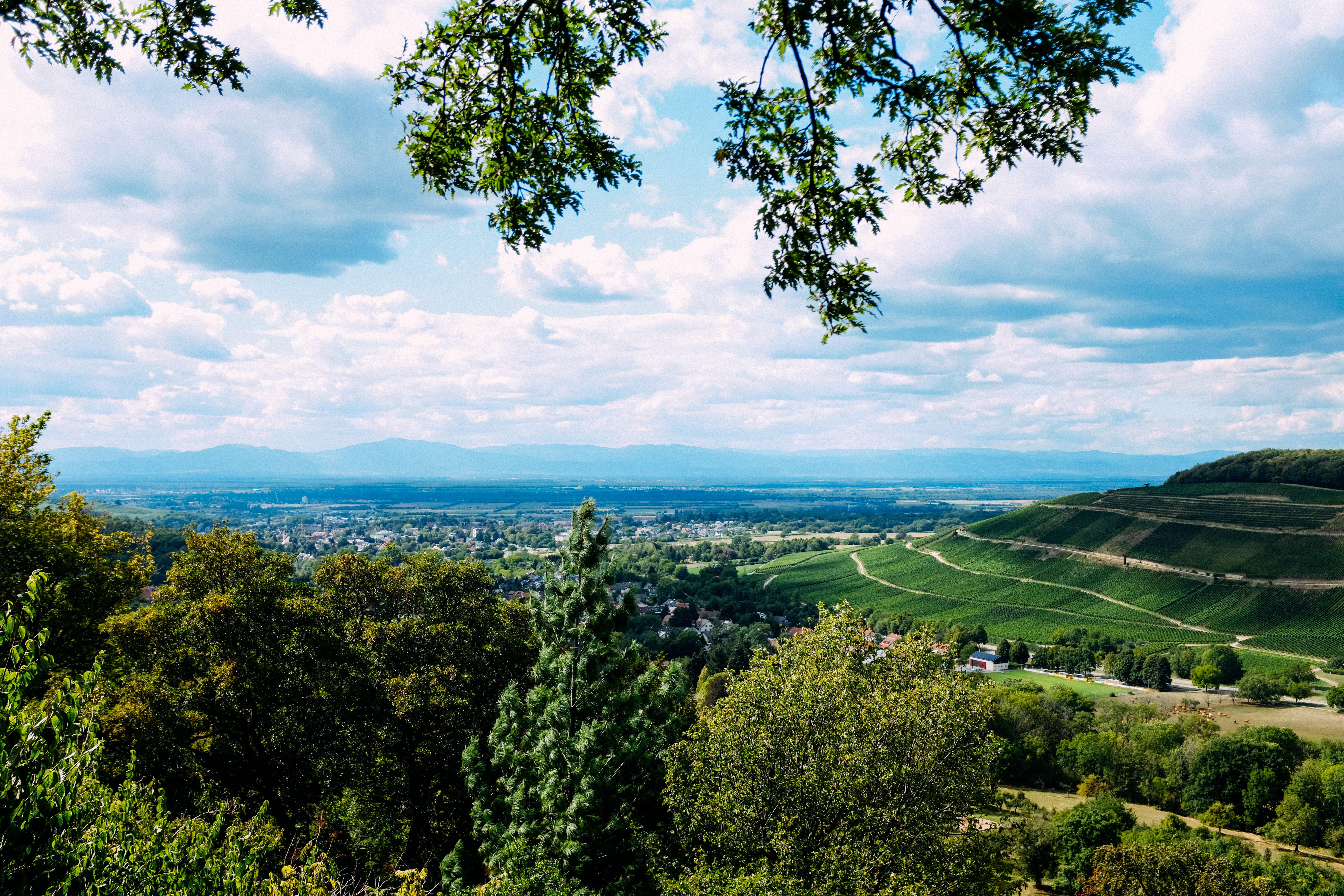 10 Astuces pour un Roadtrip Économique