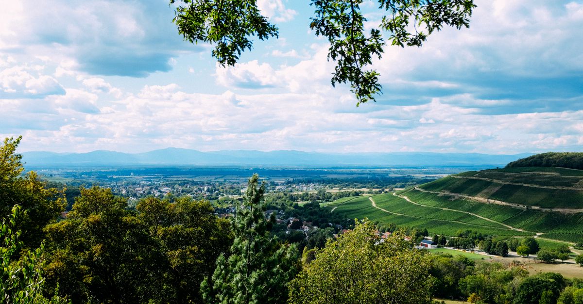 10 Astuces pour un Roadtrip Économique