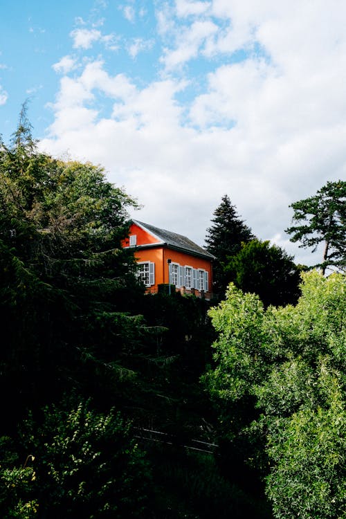 Rural wooden house amidst lush green trees