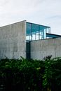 Back side of contemporary glass building covered with asbestos cement boards near lush greenery