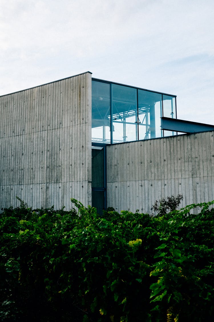 Modern Glass Building With Asbestos Sheet Siding