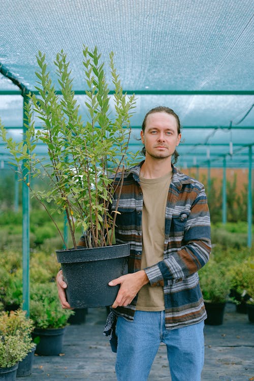 Ilmainen kuvapankkikuva tunnisteilla agronomia, ammattilainen, botaniikka