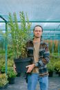 Calm male gardener in casual wear holding tall green plant in big pot while working in hothouse and looking at camera
