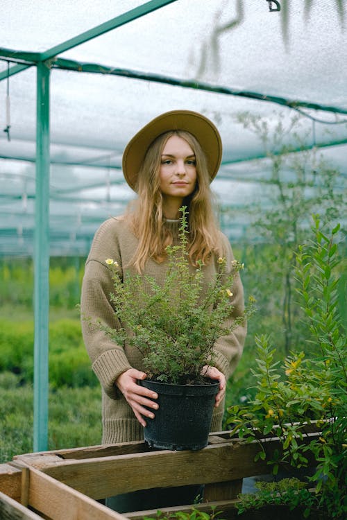 Content young female gardener in warm sweater and hat standing with lush green plant near display bench in modern hothouse and looking at camera