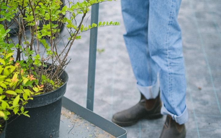 Crop anonymous gardener in casual clothes and gloves standing near gardener cart with lush green potted plant