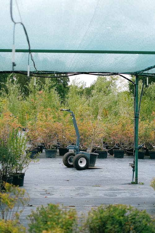 Garden cart parked near greenhouse in garden