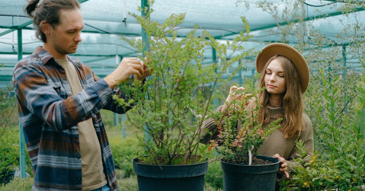 10 Key Strategies to Grow Your Influence as an Influencer