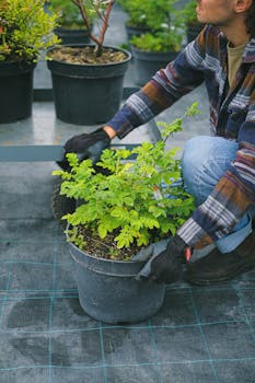 Crop calm male farmer in casual wear sitting on haunches near verdant lush plant cultivated in pot in green garden with the Quote "Champions keep playing until they get it right." written on it and have average color value #536457