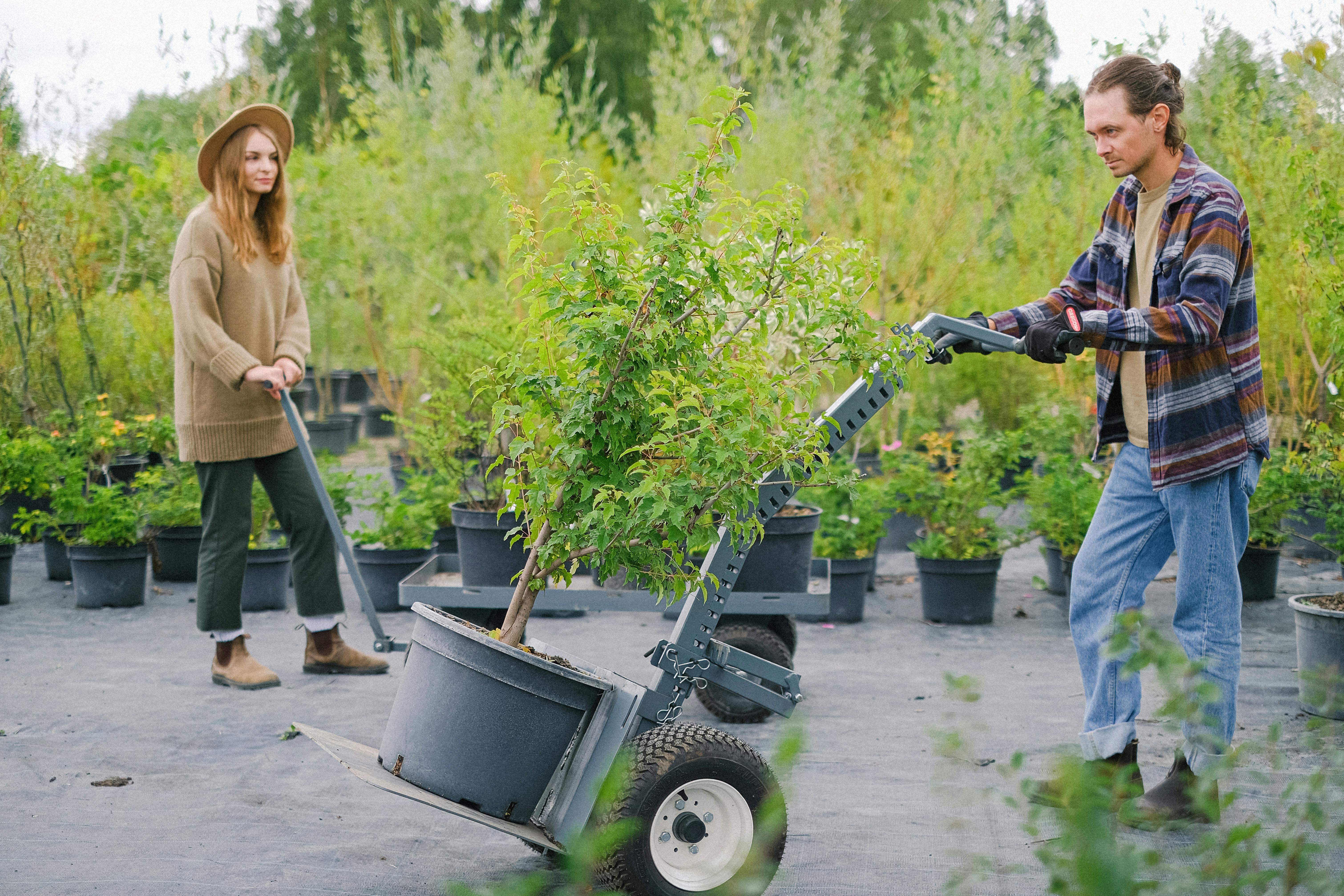 Gardeners moving heavy plants on cart in garden · Free Stock Photo