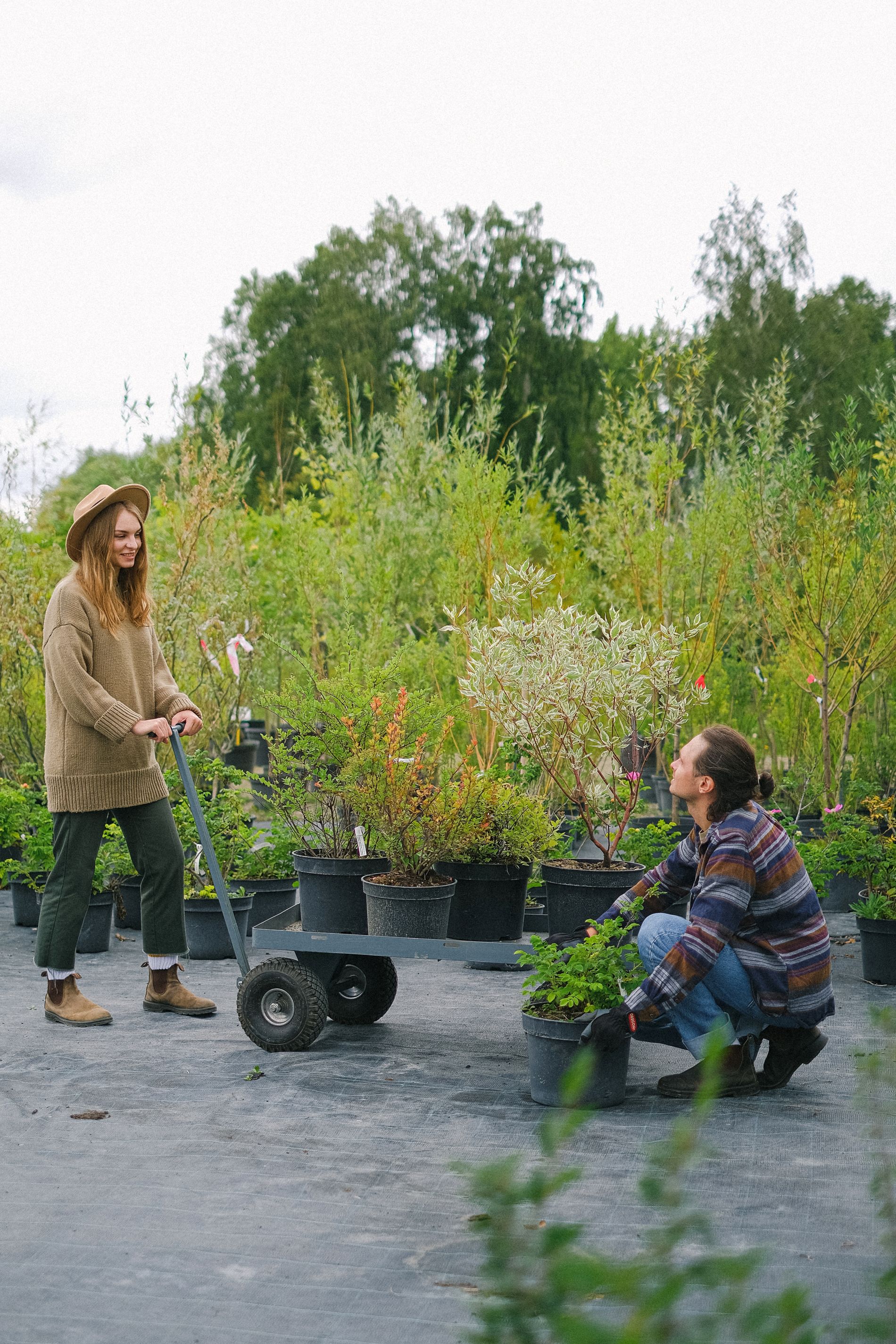 Arbeit in einem Garten
