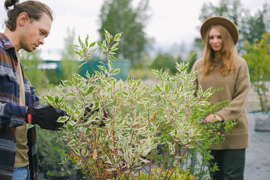 Professional gardeners tending plants through the seasons