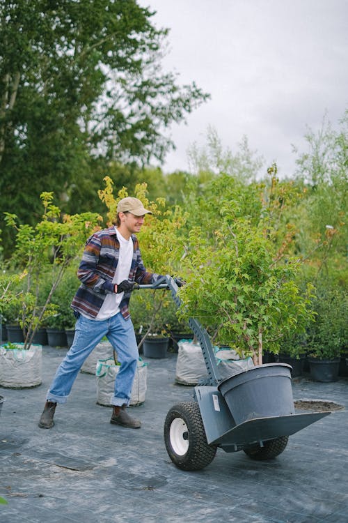 Busy gardener carrying trolley with tree seeding