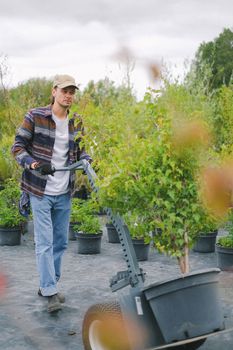 一名年轻人在苗圃工作，用园艺手推车搬运盆栽植物